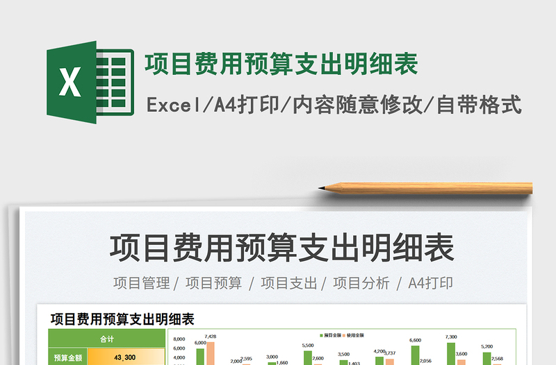 2025项目费用预算支出明细表