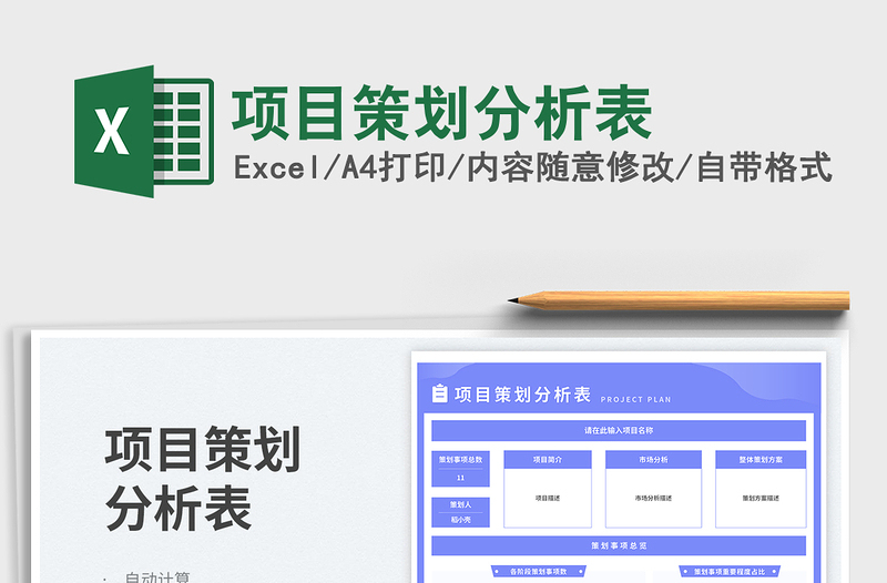 2025项目策划分析表免费下载