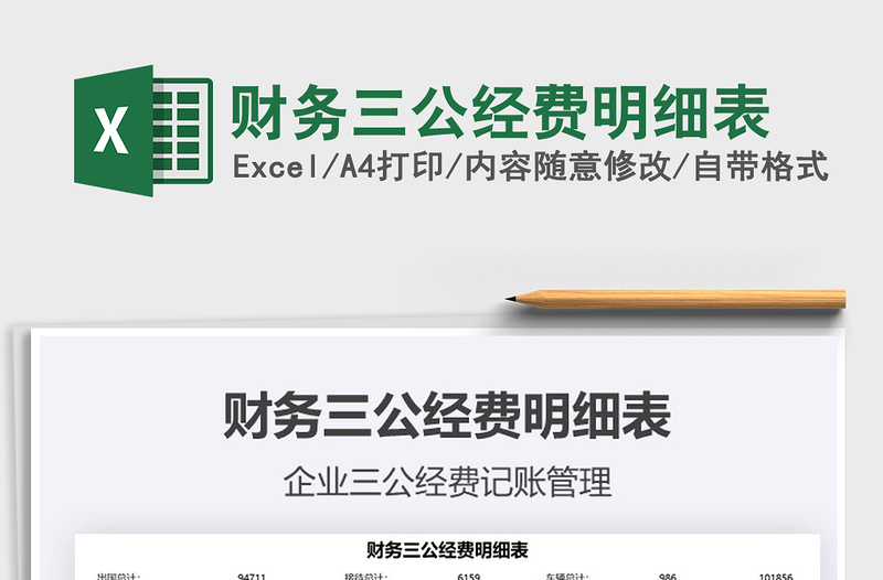 2025财务三公经费明细表免费下载