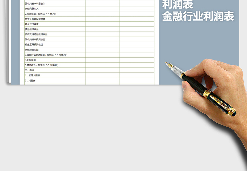 2025年金融行业利润表免费下载