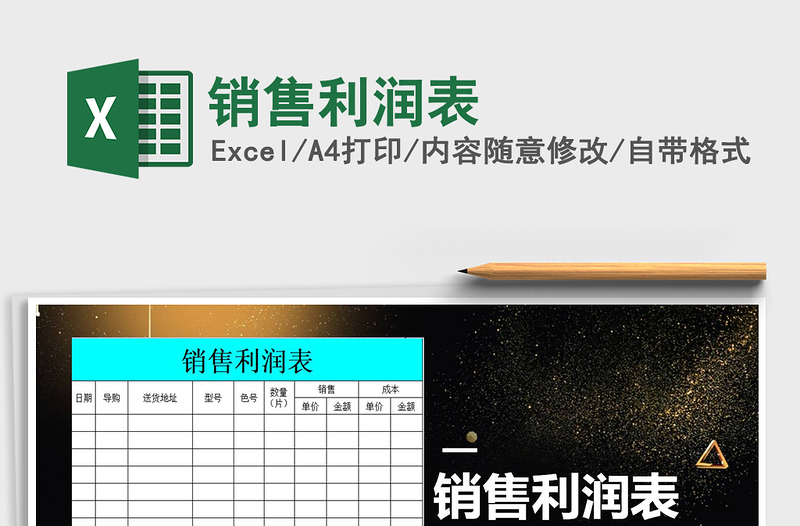 2025年销售利润表