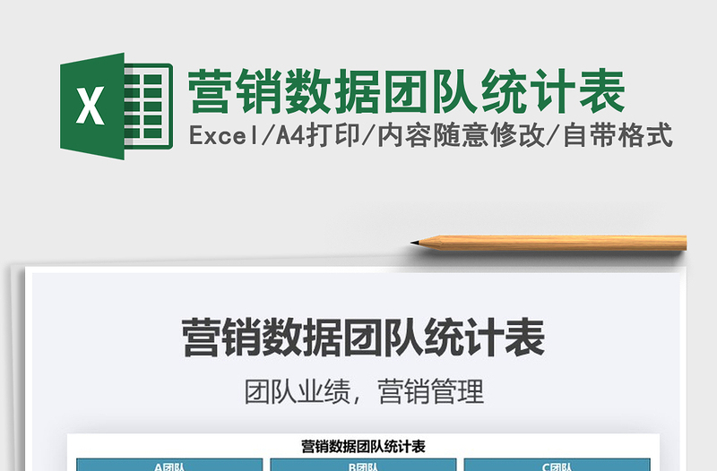 2025年营销数据团队统计表