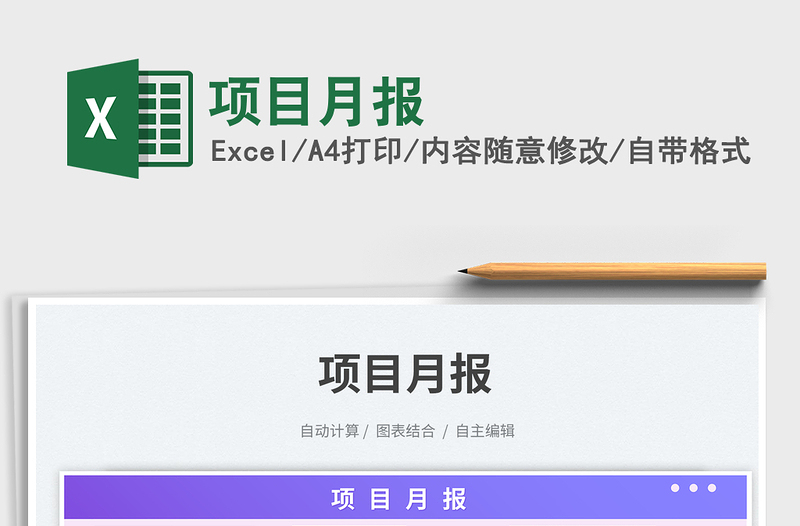 2025项目月报免费下载