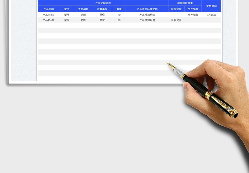 2025项目定制研发统计表