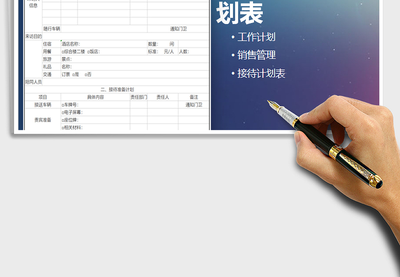 2025年销售项目接待计划表