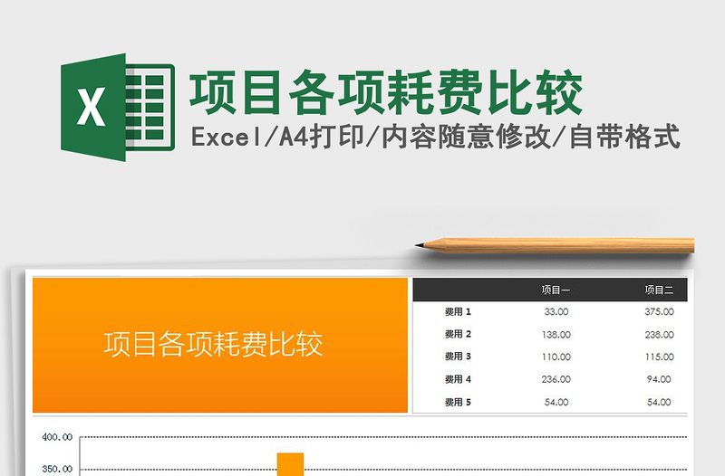 2025年项目各项耗费比较