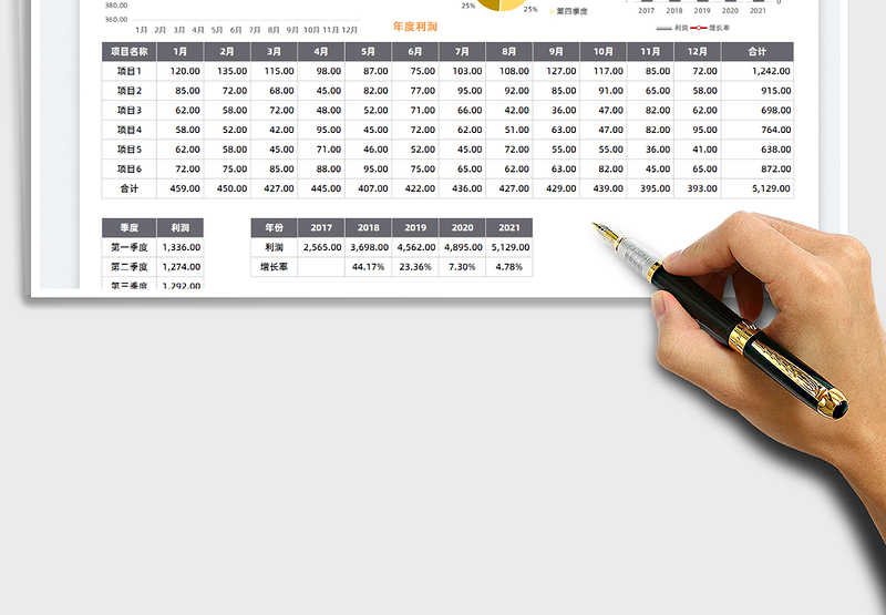 2025财务报表-年度利润统计表免费下载