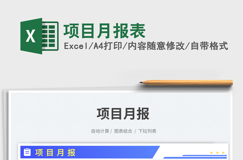 2025项目月报表免费下载