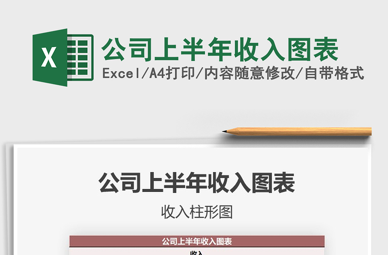 2025年公司上半年收入图表