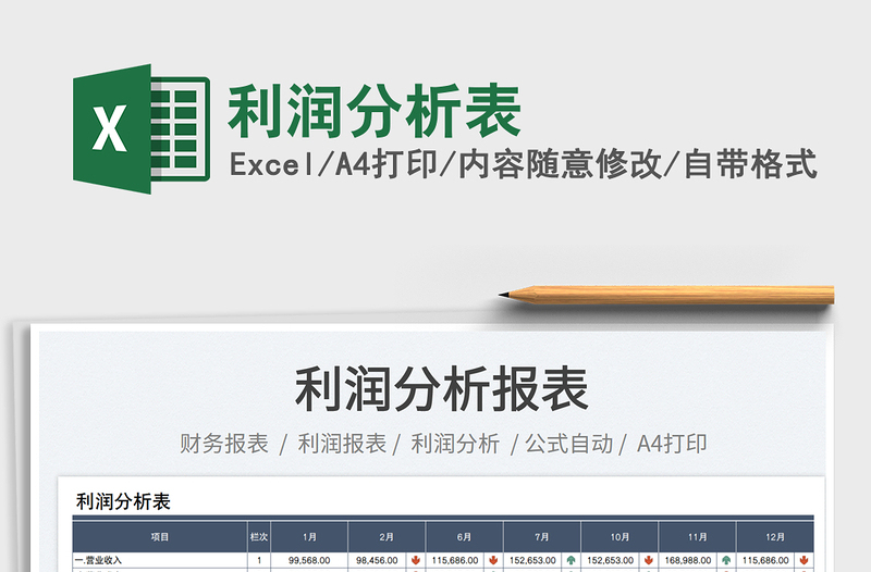 2025利润分析表免费下载
