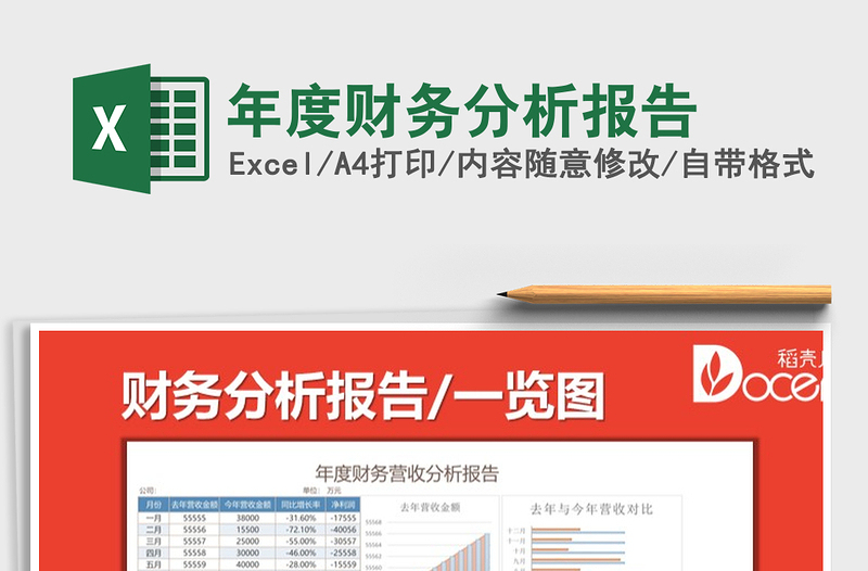 2024年年度财务分析报告