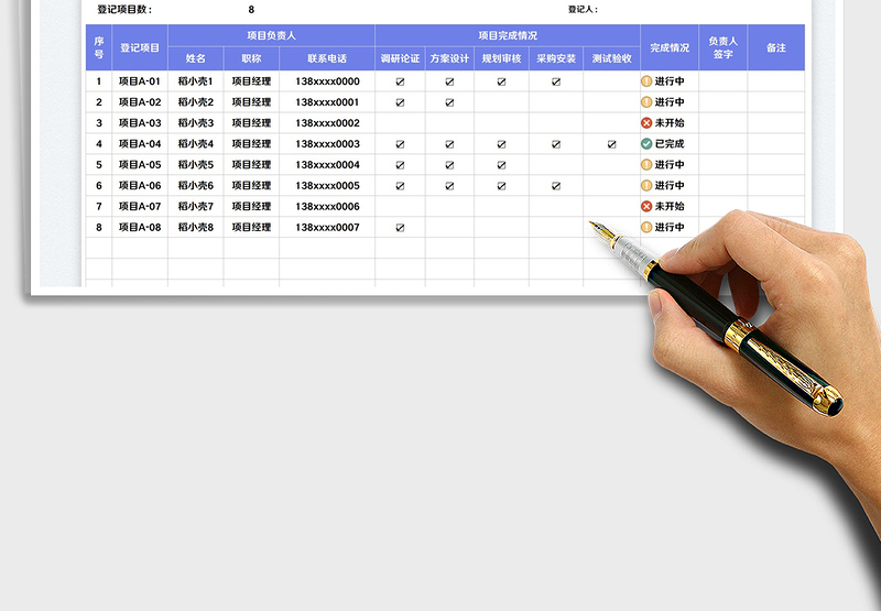 2025项目完成进度表