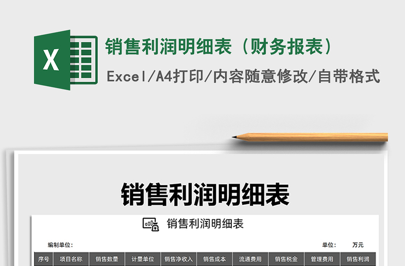 2025年销售利润明细表（财务报表）免费下载