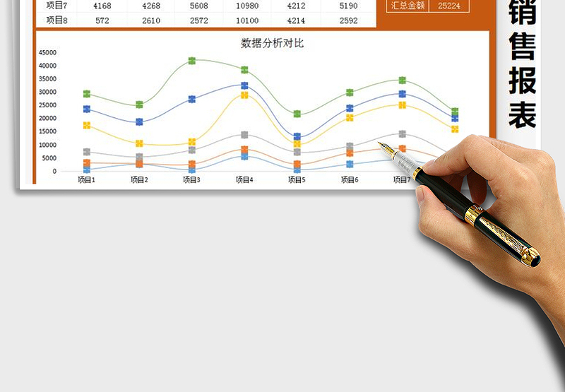 2025年半年收入报表