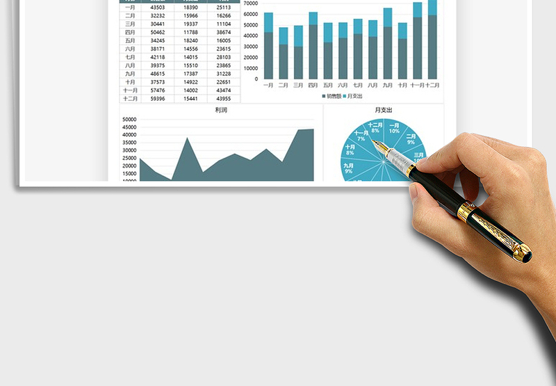 2025年销售分析各月数据报告图表