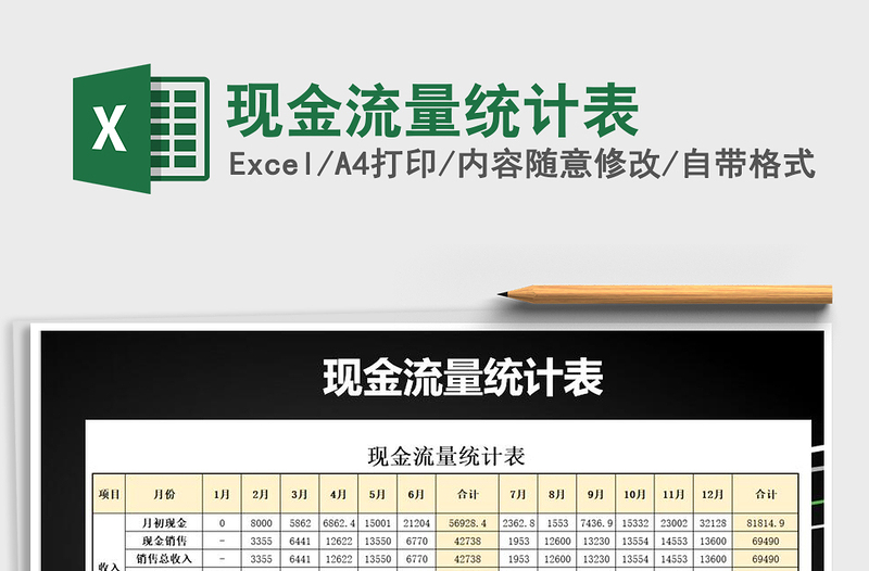 2025年现金流量统计表