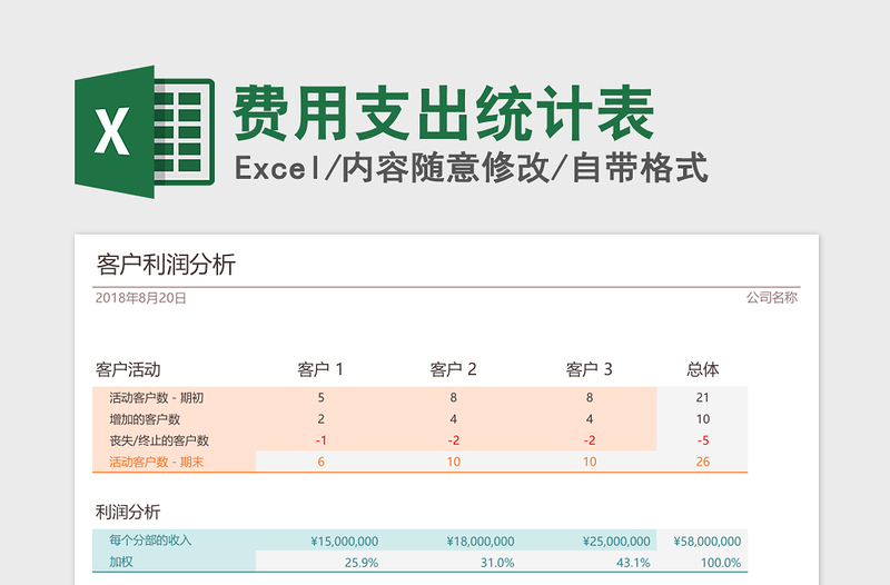 2025年费用支出统计表