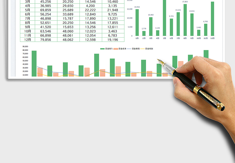 2025财务分析报表
