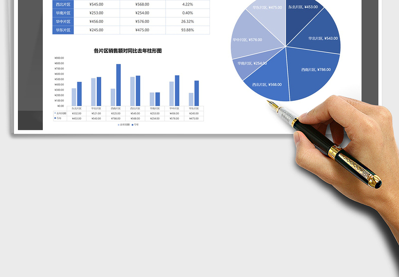 2025年片区销售额分析