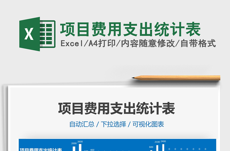 2025年项目费用支出统计表