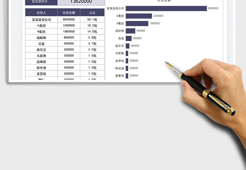 2025出资占比数据图表免费下载
