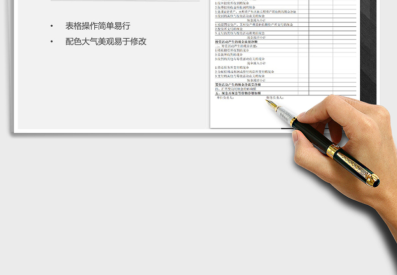 2025年现金流量表