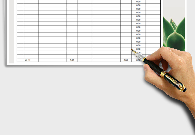 2025年财务收支日记账表