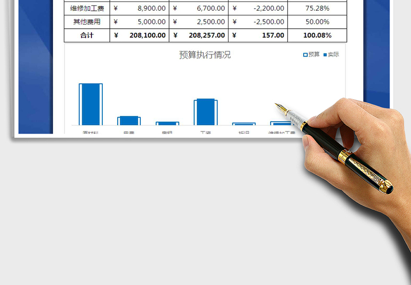 2025年预算支出执行情况表