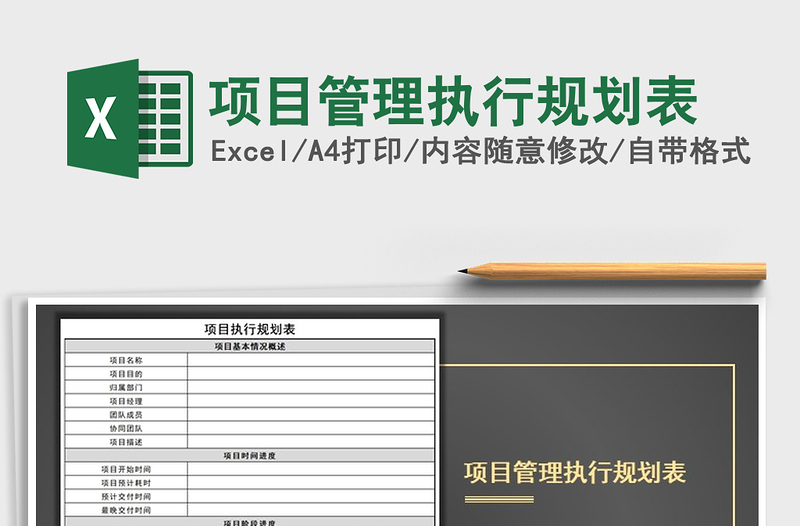 2024年项目管理执行规划表