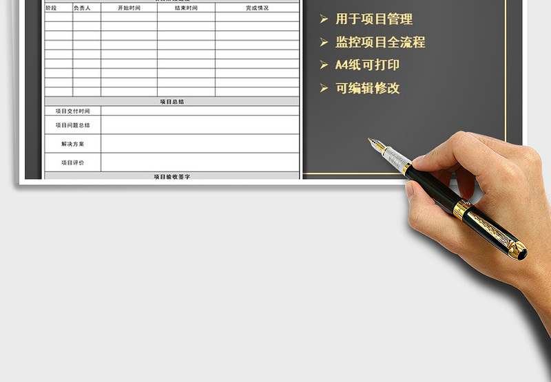 2024年项目管理执行规划表