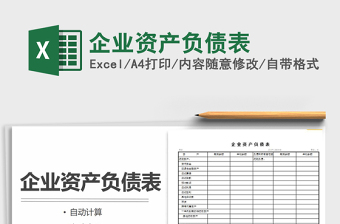 2025年企业资产负债表