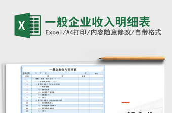 2025年一般企业收入明细表