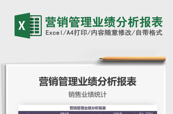 2025年营销管理业绩分析报表
