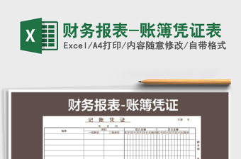 2025年财务报表-账簿凭证表