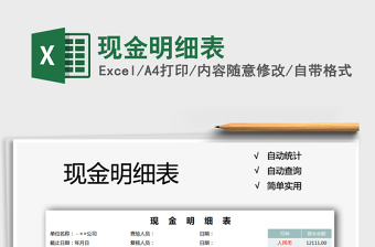 2025年现金明细表