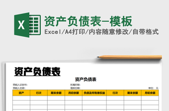 2025年资产负债表-模板