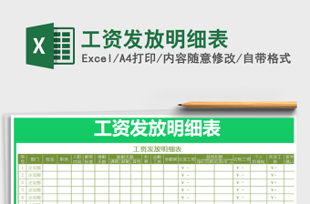 2025年工资发放明细表