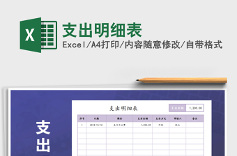 2025年支出明细表
