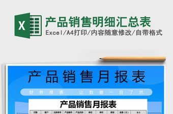 2025年产品销售明细汇总表