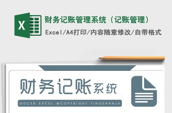 2024年财务记账管理系统（记账管理）