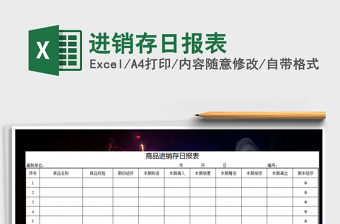 2025年进销存日报表