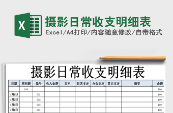 2025年摄影日常收支明细表