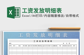 2025年工资发放明细表