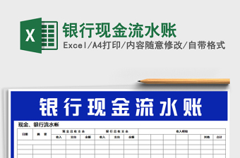 2025年银行现金流水账
