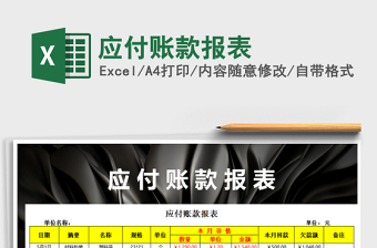 2025年应付账款报表