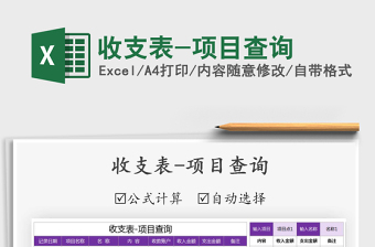 2025年收支表-项目查询