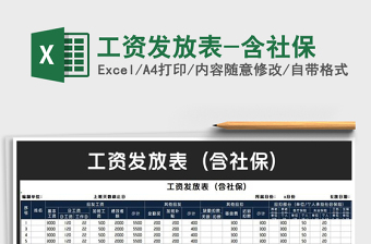 2025年工资发放表-含社保