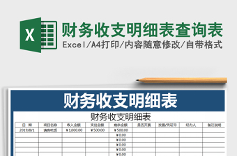 2025年财务收支明细表查询表