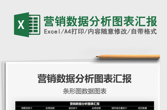 2025年营销数据分析图表汇报