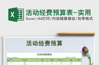 2024年活动经费预算表-实用